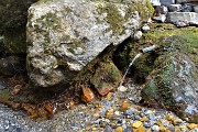 56 Sorgente di acqua ferruginosa